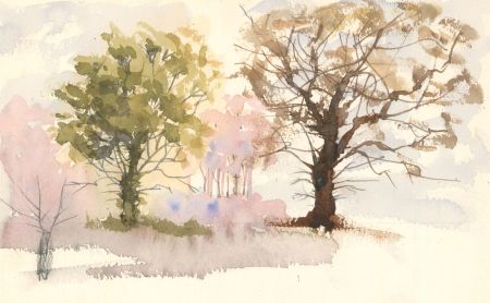 Robert Shuck - Contemporary India Ink, Study of Autumnal Trees