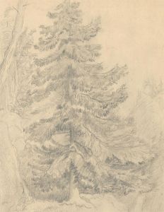 Six 19th Century Graphite Drawings - Tree Studies