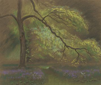 Fred Dymond - Mid 20th Century Pastel, Tree in a Woodland
