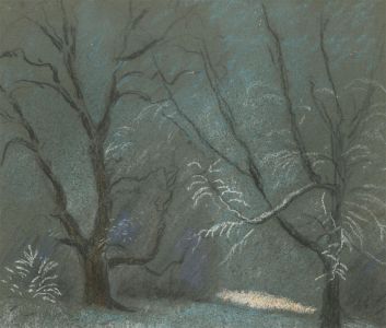 Fred Dymond - Mid 20th Century Pastel, Trees in a Woodland Landscape
