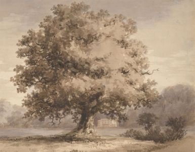Margaret (Daisy) George - Mid 19th Century Watercolour, Tree in a Landscape
