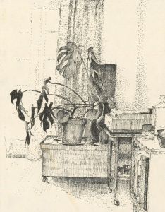 20th Century Pen and Ink Drawing - Botanical Interior
