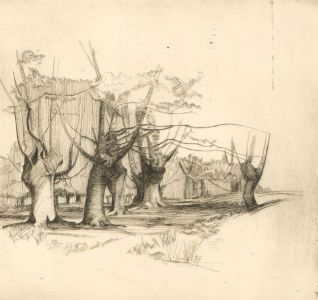 F.L Wilder - Two  c. 1941 Etchings, Woodland Tree Studies