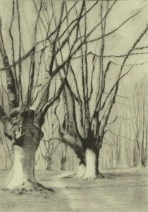 F.L Wilder - c. 1942 Etching, Tree Study