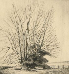F.L Wilder - A Set of Four c. 1941 Etchings, Winter Tree Studies