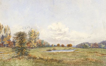 Eliza Westlake - Mid 19th Century Watercolour, Fields in the New Forest