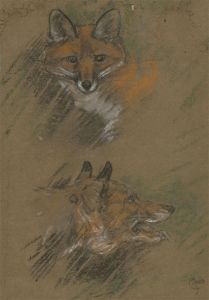 Mid 20th Century Pastel - Studies of the Head of a Fox