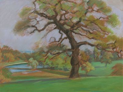A.V. Bramble - 20th Century pastel, Tree in a Landscape
