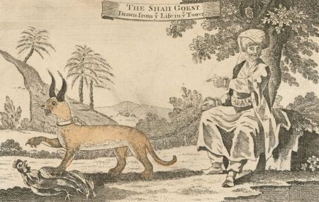 18th Century Engraving - The Shah Goest