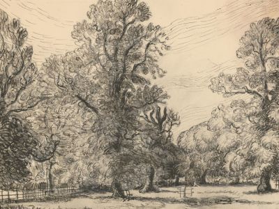 Harold Hope Read (1881-1959) - Pen and Ink Drawing, Study of Trees