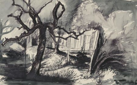 Mary Pierce - Set of Three 20th Century Pen and Ink Drawings, Studies of Trees