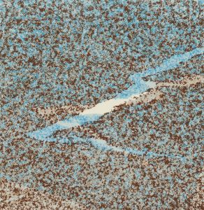 Ingvar Hurtig - Signed Limited Edition 1983 Screen Print, Sand and Water