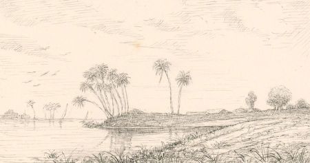 20th Century Pen and Ink Drawing - Tropical Landscape with Palm Trees