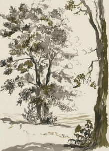 Audrey Reddy - Contemporary India Ink, Japanese Inspired Tree Study