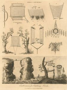 John Wilkes - 18th Century Engraving, Contrivances for Catching Birds.