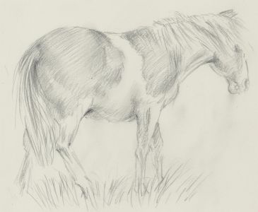 Franco Matania (1922-2006) - c.1990 Graphite Drawing, The Horse