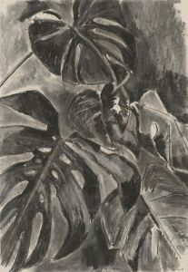 Amla Deaslae - Contemporary Charcoal Drawing, Study of a Cheese Plant