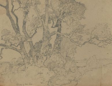 Oliver Hall RA (1869-1957) - Early 20th Century Graphite Drawing, Ash Trees