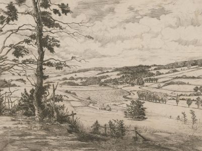 Early 20th Century Etching - Rural English Fields