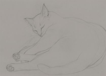Julie Collino - Mid 20th Century Graphite Drawing, Sleeping Beauty