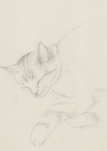 Julie Collino - Mid 20th Century Graphite Drawing, Cat Study