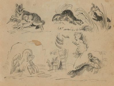 A Pair of Mid 19th Century Pen and Ink Drawings - Exotic Animal Studies
