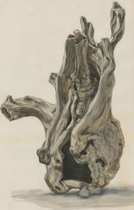 20th Century Mixed Media - Hollowed Trunk