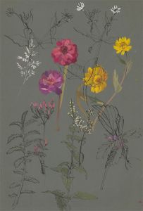 Patricia E. Bird - Mid 20th Century Pen and Ink Drawing, Summer Wildflowers