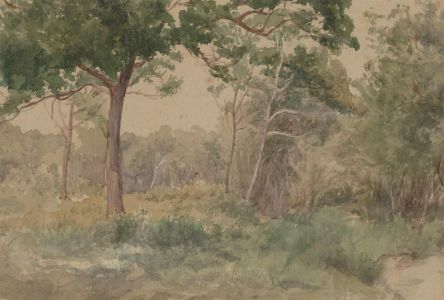 Late 19th Century Watercolour - The Forest