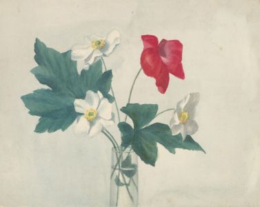 Amy F. Bridges - 1895 Watercolour, Delicate Floral Study