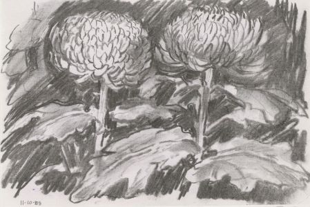 Clifford H. Thompson (1926-2017) - Three Charcoal Drawings, Chrysanthemums