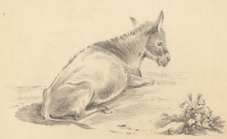 Samuel J. Whittle - c.1840 Graphite Drawing, Study of a Donkey