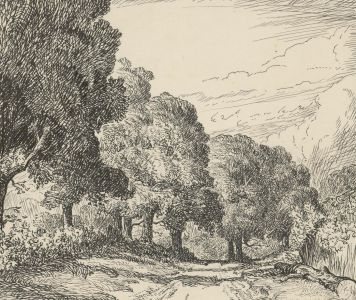 Montague M. Webb (fl.1935-1975) - 1946 Pen and Ink Drawing, Wooded Lane