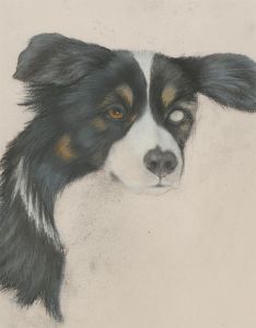 20th Century Pastel - Unfinished Portrait of a Collie
