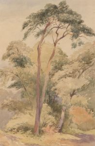 McKewan - Late 19th Century Watercolour, Study of Summer Trees