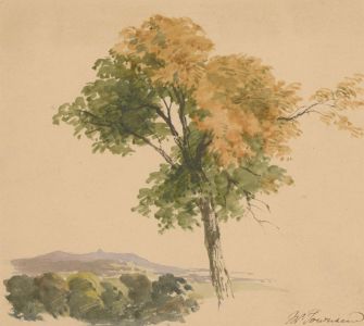 J.W. Townsend - Late 19th Century Watercolour, Study of a Tree