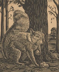 L.A.W - Early 20th Century Wood Engraving, Study of a Woodland Squirrel