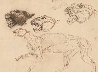 Early 20th Century Pen and Ink Drawing - The Panther