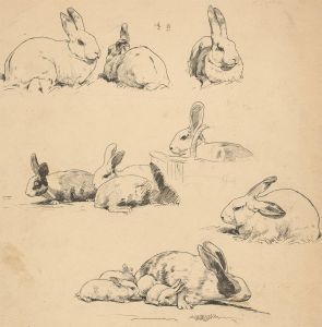 Early 20th Century Pen and Ink Drawing - Study of Rabbits