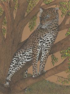Audrey Pardoe - 1979 Mixed Media, Leopard in a Tree