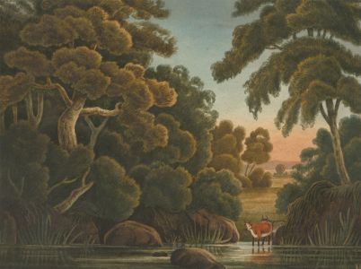 J.C.A. Marston - 1849 Watercolour, Woodland Pool