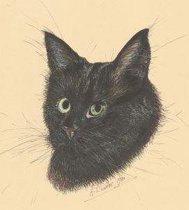 Audrey Pardoe - 1980 Pen and Ink Drawing, Portrait of a Black Cat