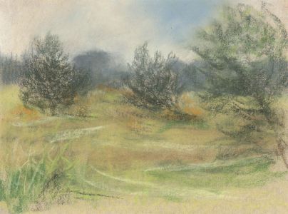 Audrey Pardoe - 20th Century Pastel, Summer Landscape