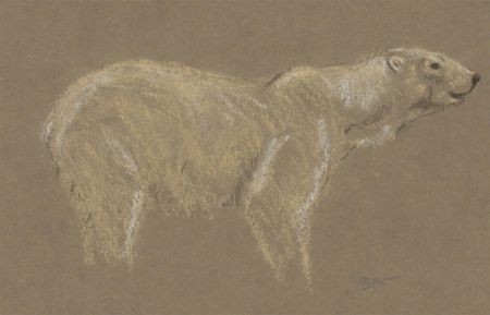 Raymond John Vandenbergh - Early 20th Century Chalk Drawing, A Polar Bear