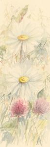 Audrey Pardoe - 20th Century Watercolour, Daisies