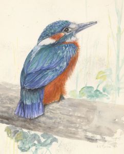 Audrey Pardoe - 1983 Watercolour, Kingfisher