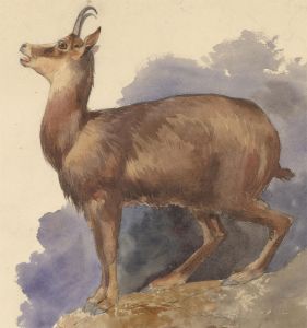 Alfred William Strutt (1856-1924) - Early 20th Century Watercolour, Roe Deer