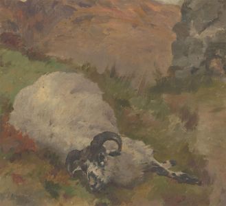 Alfred William Strutt (1856-1924) - Early 20th Century Oil, Study of a Ram