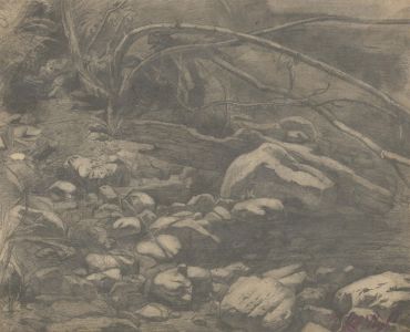 H. Philips - Mid 20th Century Graphite Drawing, Foliage and Rocks Study