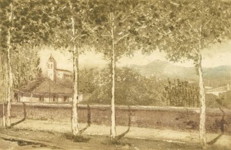 20th Century Etching - View Through the Trees into the Mountains